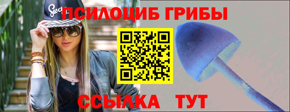 Псилоцибиновые грибы прущие грибы Каменск-Уральский
