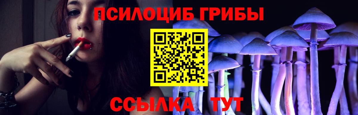 Псилоцибиновые грибы Magic Shrooms  Псилоцибиновые грибы Magic Shrooms  Каменск-Уральский  дарнет шоп  Вход с VPN 